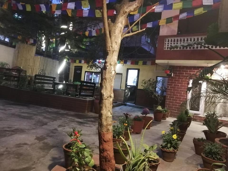 Nirvana Green Peace Home Kathmandu Exteriör bild