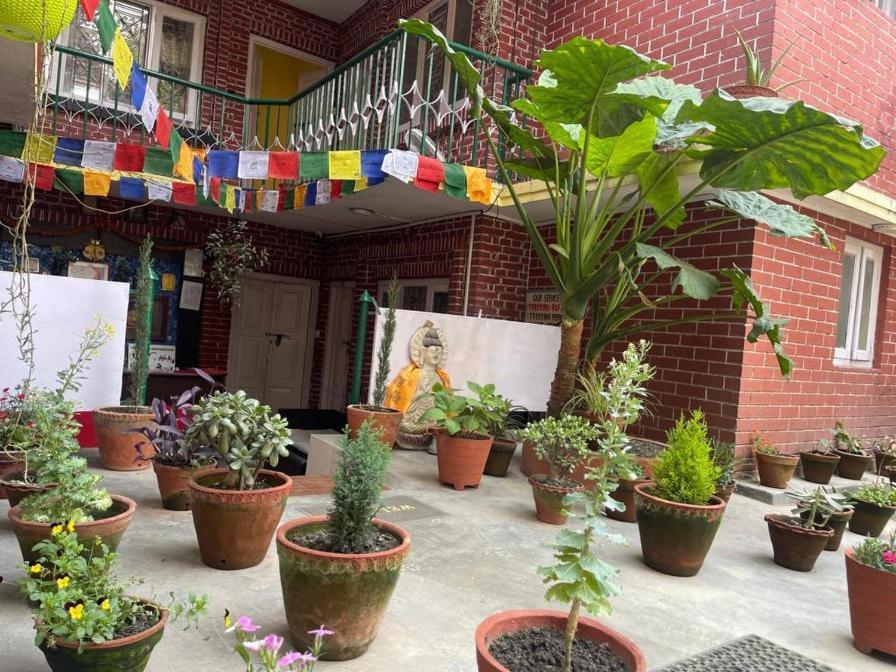 Nirvana Green Peace Home Kathmandu Exteriör bild