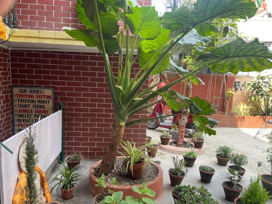 Nirvana Green Peace Home Kathmandu Exteriör bild