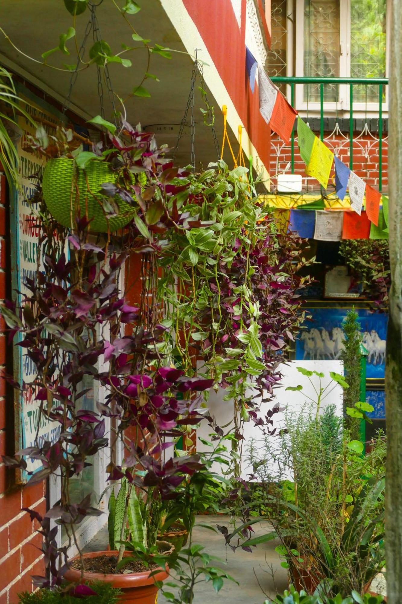 Nirvana Green Peace Home Kathmandu Exteriör bild