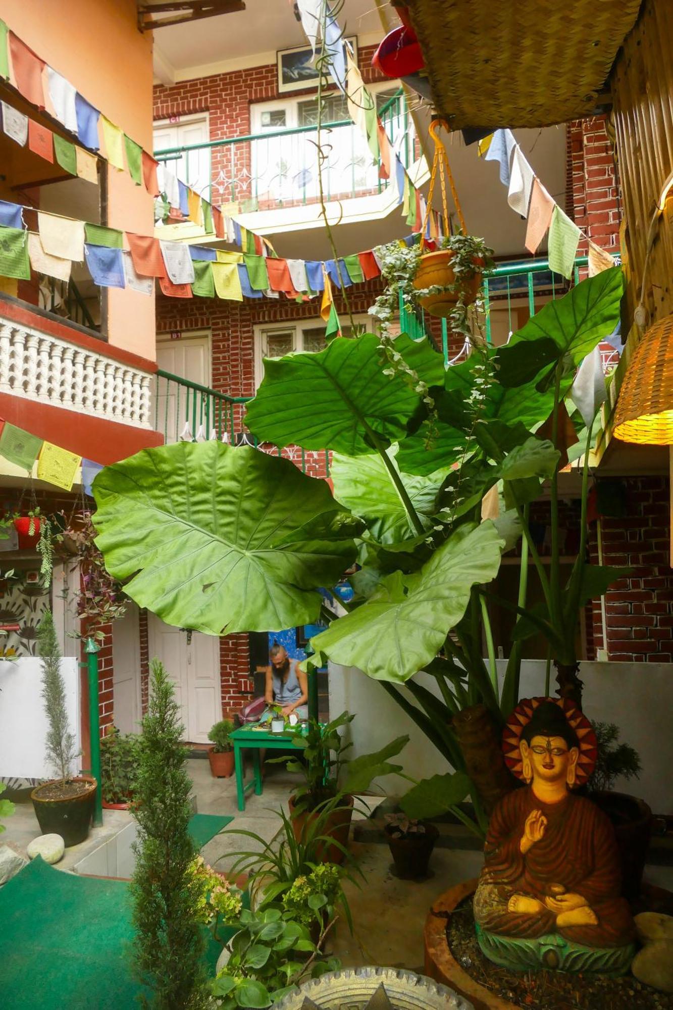 Nirvana Green Peace Home Kathmandu Exteriör bild