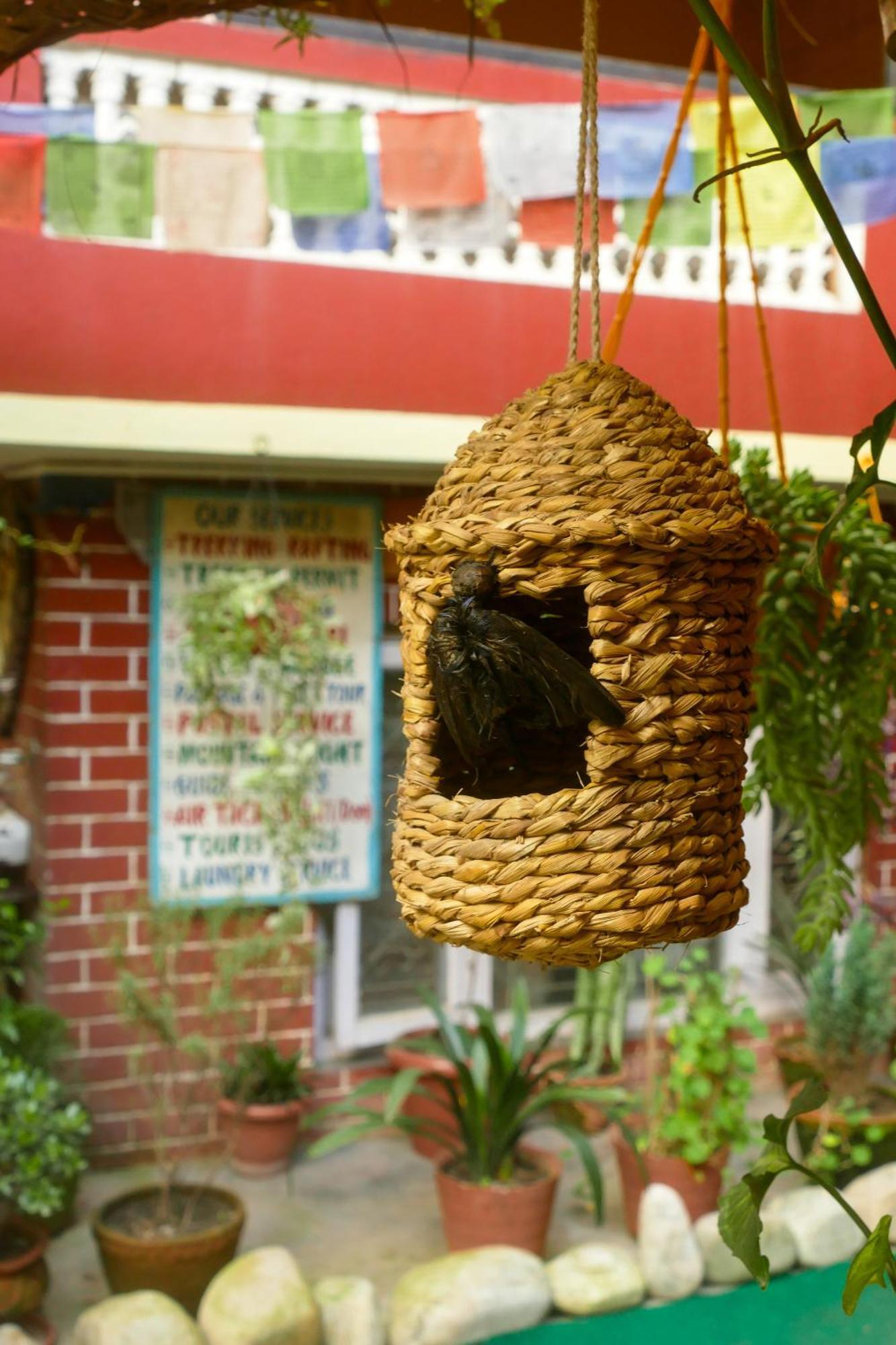 Nirvana Green Peace Home Kathmandu Exteriör bild